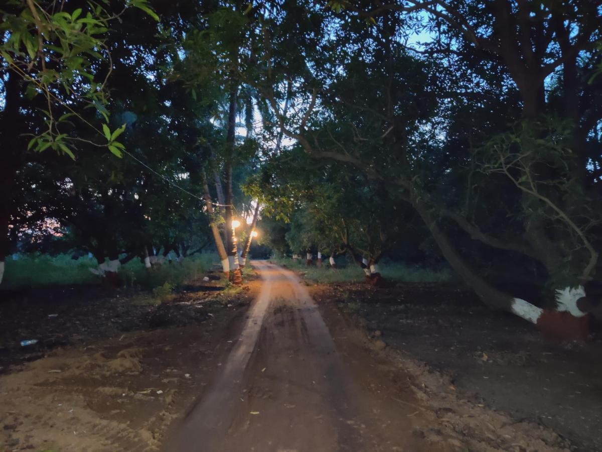 Shiv Farm House Hotel Sasan Gir Exterior foto